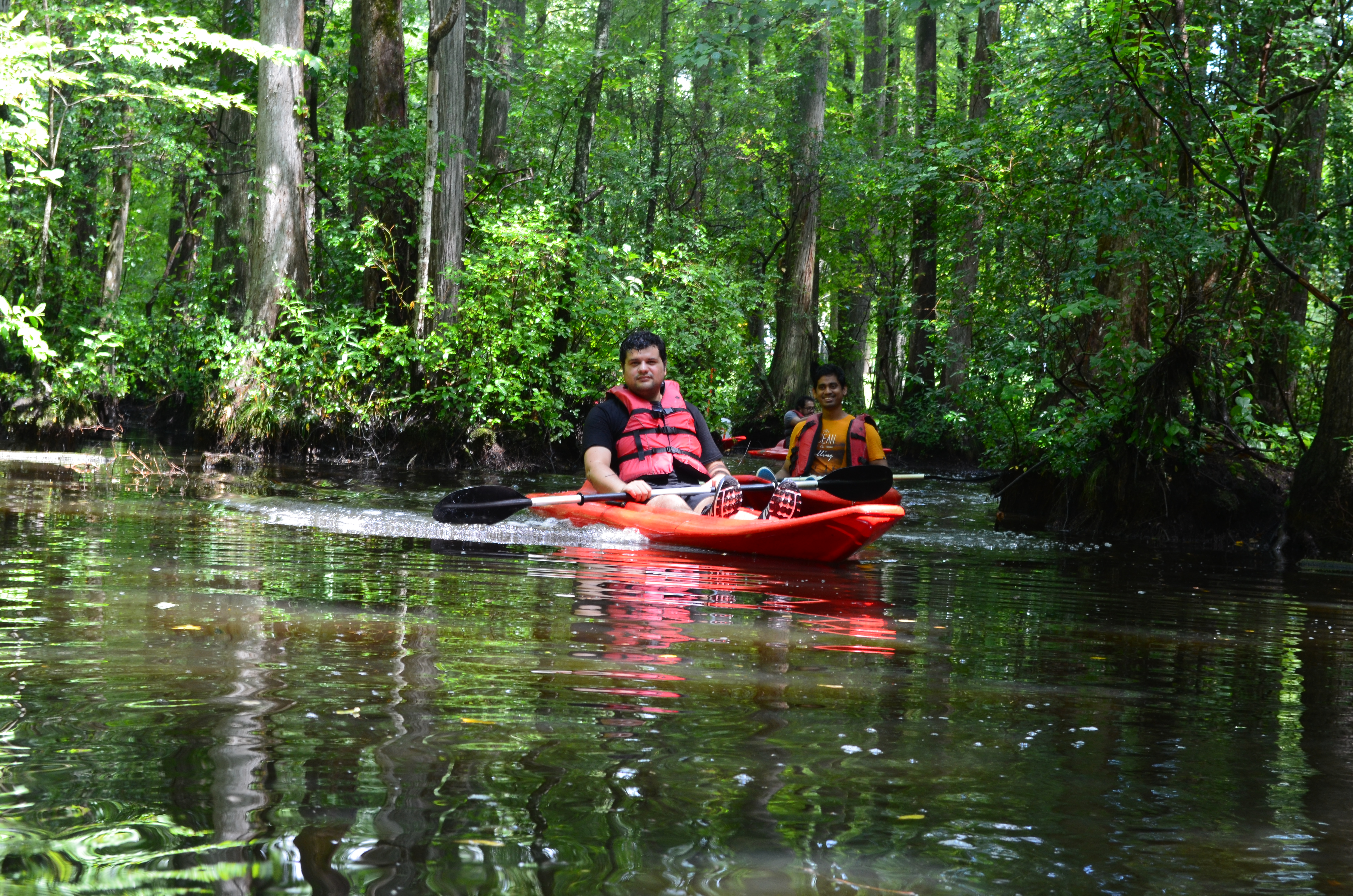 ./2017/13 - Roberson Millpond Preserve/DSC_0628.JPG